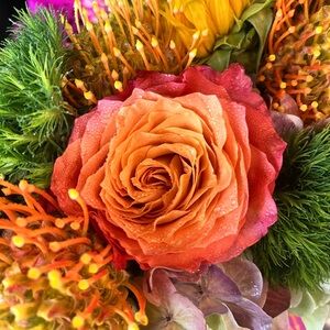 Meet your Posher, Maeve